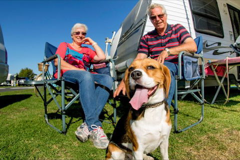 BIG4 Hopkins River Holiday Park - Sunshine Coast Tourism 7