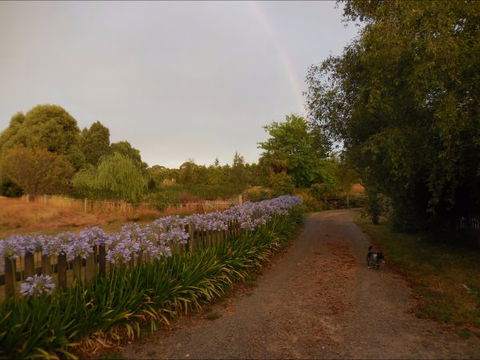 Bunjil Farm - Holiday Sunshine Coast 5