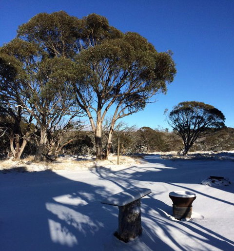 Cloud 9 Alpine Lodge - Sunshine Coast Tourism 9