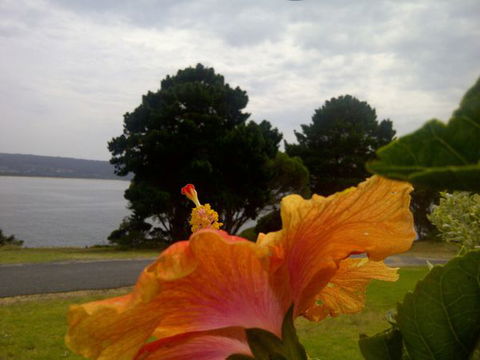 Eden Oceanview - Holiday Sunshine Coast 1