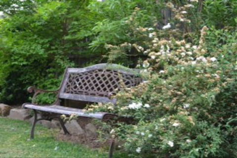 Garden Cottage B And B - Holiday Sunshine Coast 4