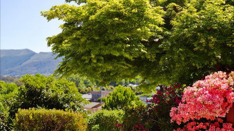 Greatview Holiday Spa Retreat For Couples - Sunshine Coast Tourism 4