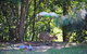 Halcyon Retreat - thumb 8