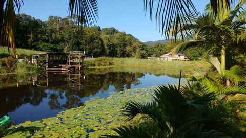 Hosanna Farmstay - Sunshine Coast Tourism 0