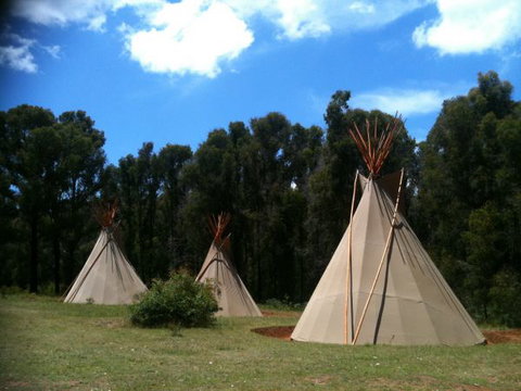 Kinglake Forest Adventures Camp - Sunshine Coast Tourism 0