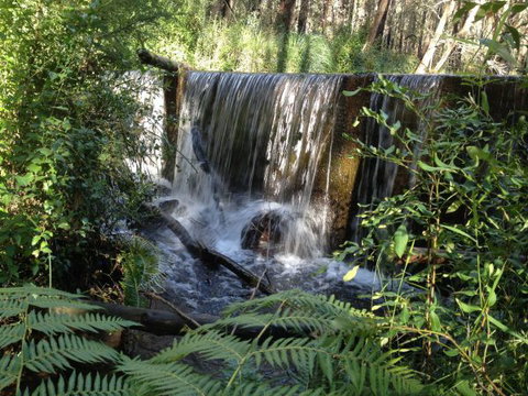 Kinglake Forest Adventures Camp - Sunshine Coast Tourism 1