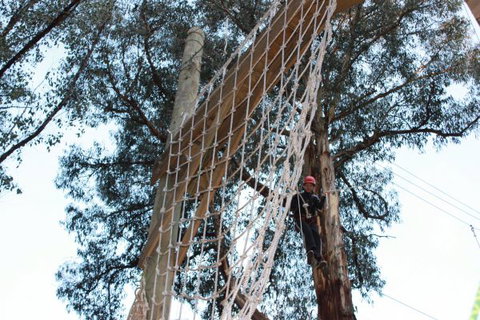 Kinglake Forest Adventures Camp - Sunshine Coast Tourism 4