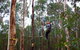 Kinglake Forest Adventures Camp - thumb 5
