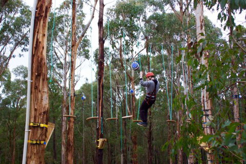Kinglake Forest Adventures Camp - Sunshine Coast Tourism 5