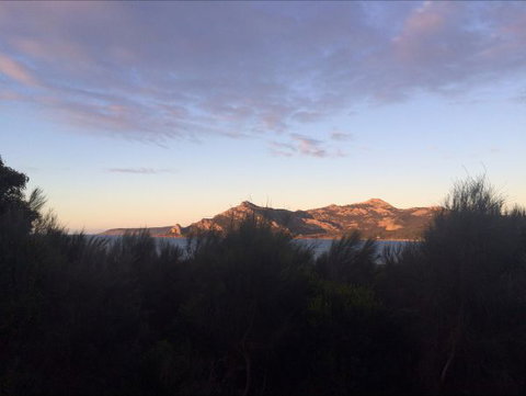 Morning Mist - Sunshine Coast Tourism 4