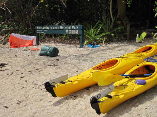 South Molle Island QLD Sunshine Coast Tourism