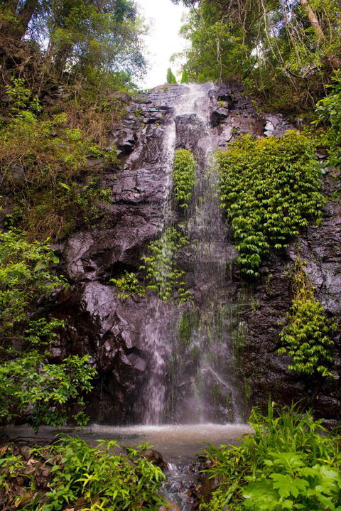 Nimbin Waterfall Retreat - Sunshine Coast Tourism 0