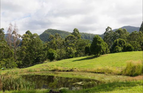 Nimbin Waterfall Retreat - Sunshine Coast Tourism 3