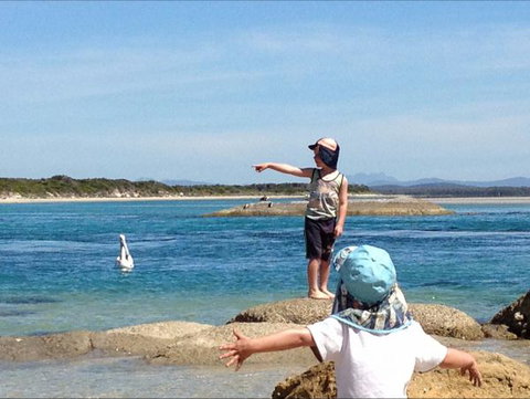 North East River Camping Ground - Holiday Sunshine Coast 0