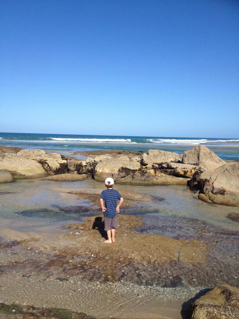 North East River Camping Ground - Holiday Sunshine Coast 1