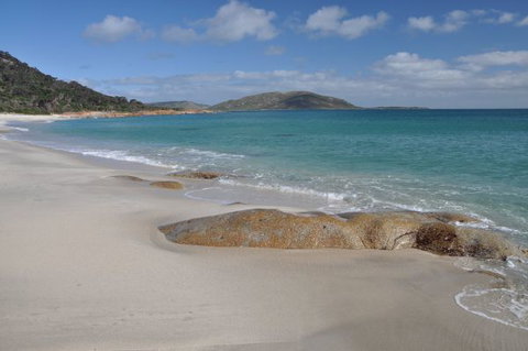 North East River Camping Ground - Holiday Sunshine Coast 2