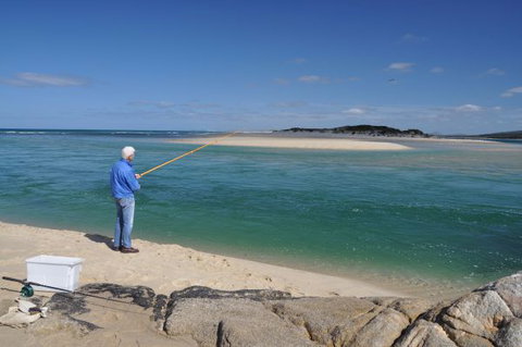 North East River Camping Ground - Holiday Sunshine Coast 4