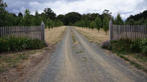 Oakhill Cottage - Sunshine Coast Tourism 7