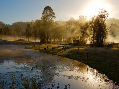 Ramada Resort Kooralbyn Valley - Holiday Sunshine Coast 6