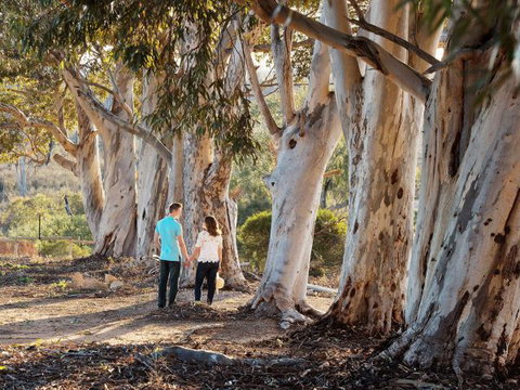 Rilli Retreat - Sunshine Coast Tourism 3