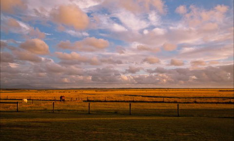 Sanctuary@Waratah - Sunshine Coast Tourism 8
