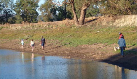 Selby Organic Farm Stay - Holiday Sunshine Coast 9