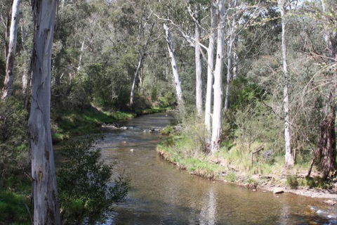 Stockyard Creek - Sunshine Coast Tourism 2