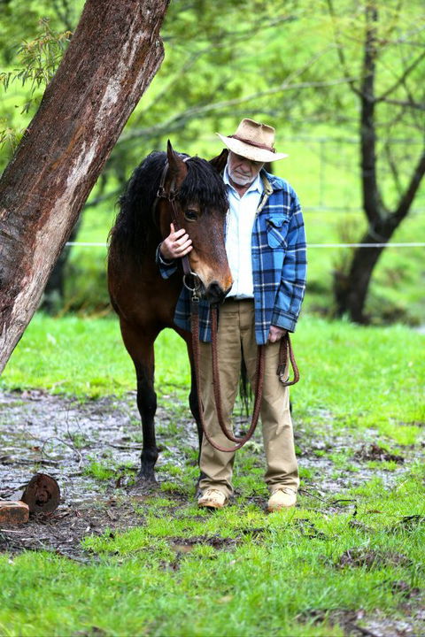 Stockyard Creek - Sunshine Coast Tourism 4