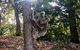 Stradbroke Island Beach Hotel | Spa Resort - thumb 8