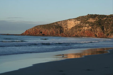 Tammar Ridge - Sunshine Coast Tourism 8