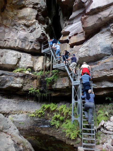 Takarakka Bush Resort Carnarvon Gorge - Holiday Sunshine Coast 0