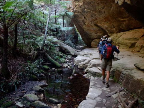 Takarakka Bush Resort Carnarvon Gorge - Holiday Sunshine Coast 6