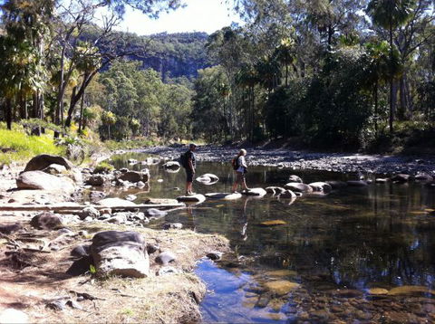 Takarakka Bush Resort Carnarvon Gorge - Holiday Sunshine Coast 9