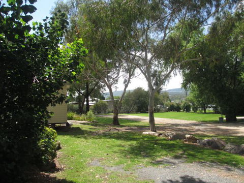 Tenterfield Lodge And Caravan Park - Sunshine Coast Tourism 1