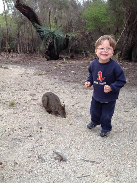 The Patriarch Wildlife Sanctuary Camping Ground - Sunshine Coast Tourism 1