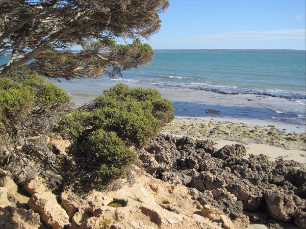 Browns Beach SA Sunshine Coast Tourism