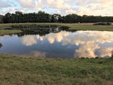 Woodbyne Resort - Sunshine Coast Tourism 2