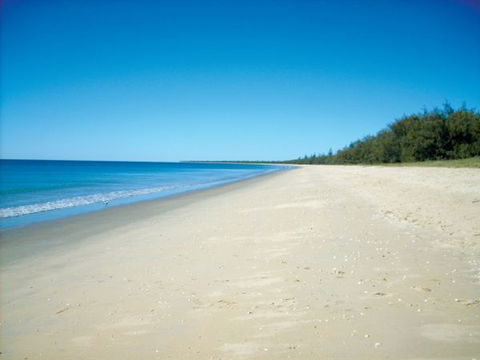 Woodgate Beach Tourist Park - Holiday Sunshine Coast 0