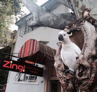 Zing Backpackers Hostel - Sunshine Coast Tourism