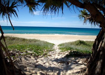 Pacific Surf - Sunshine Coast Tourism 4