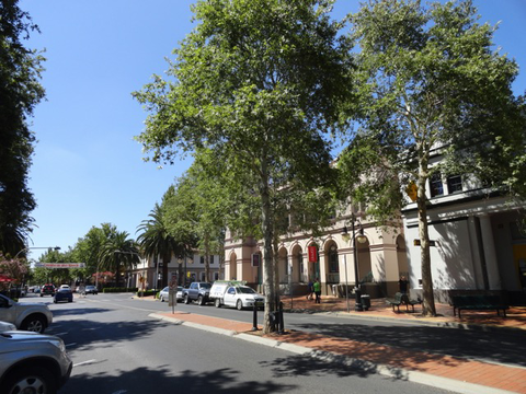 Oasis Hotel Motel - Sunshine Coast Tourism 3