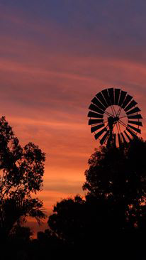Emerald Springs Roadhouse - Holiday Sunshine Coast 9