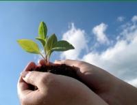 Vital Spirit Natural Health - Holiday Sunshine Coast 0