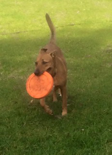 Fullerton Cove NSW Sunshine Coast Tourism