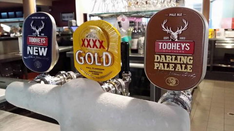 Bull N Bush Hotel Motel - Holiday Sunshine Coast 3