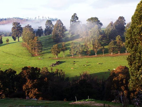 Balingup Vista Chalets - Sunshine Coast Tourism 4