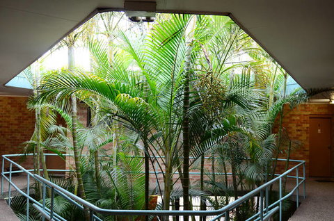 Motel 10 - Sunshine Coast Tourism 4