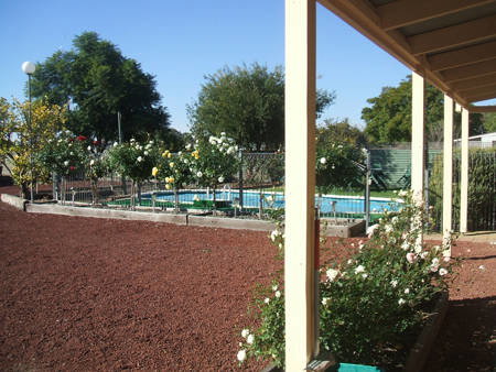 Barham Colonial Motel - Sunshine Coast Tourism 1