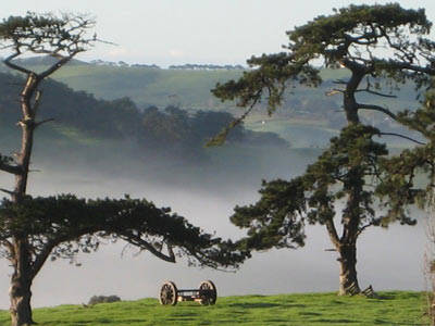 Benaway Cottages - Holiday Sunshine Coast 3