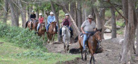 Bestbrook Mountain Resort - Sunshine Coast Tourism 3